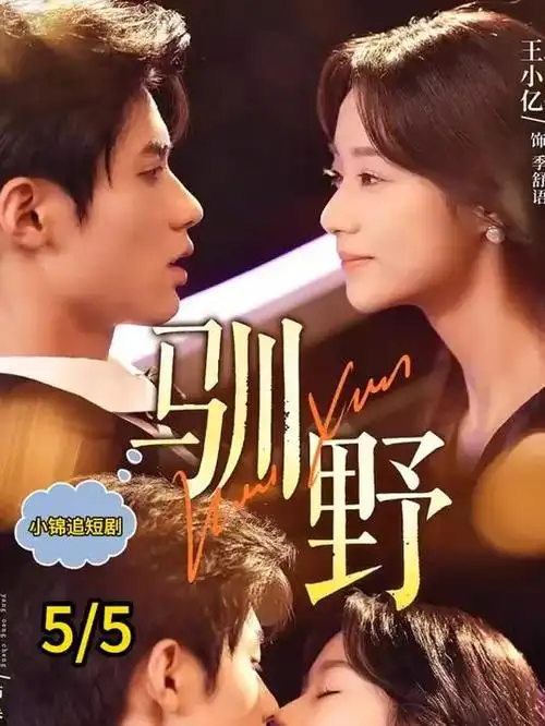 代码之诗 职场科技剧在线看